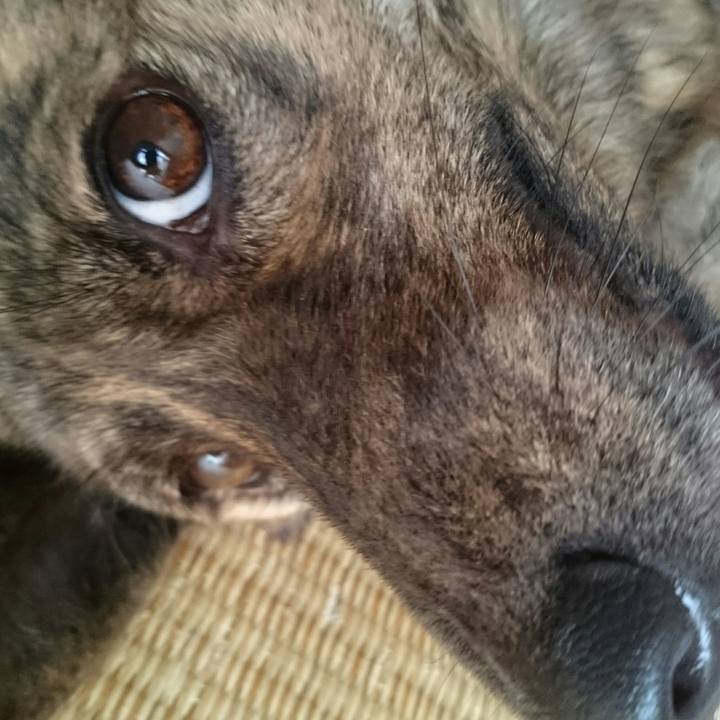 0e3be5a3 3a19 4356 83fa edb95f6465f4