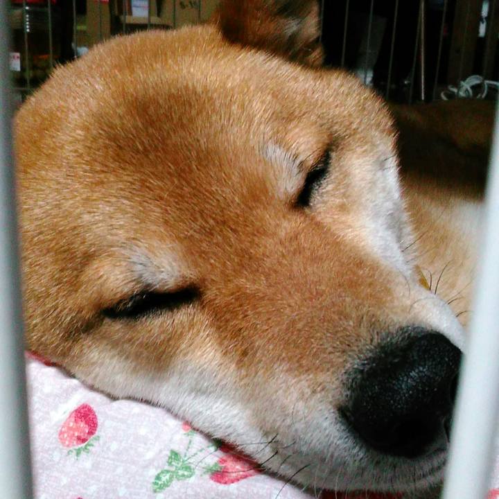 0e3bfe42 8fa9 4edd 8324 5ce1d7f625ff