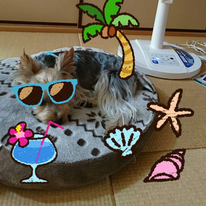 0e3c9a8c fb29 4f9b 92a2 c2f2ea26c69f