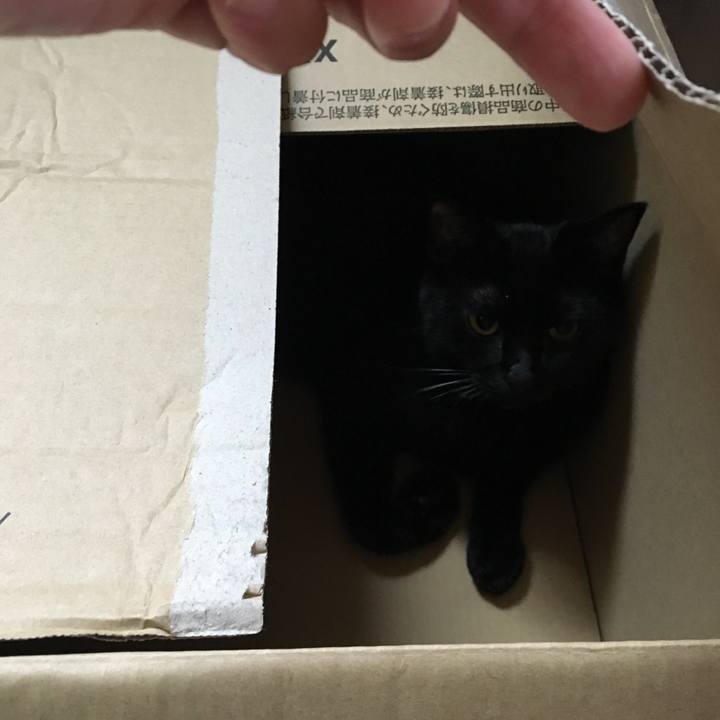 0e3ddabe 29bf 406b a7ff ec529da9a0dc