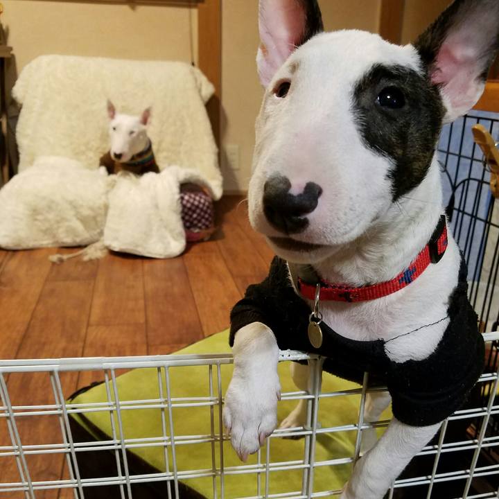 0e3f436f 7d2d 4634 a0ec aa7cd976b602