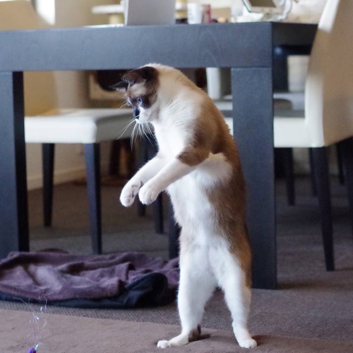 0e3fbdf9 0486 4cb9 977d bae263bf73a7