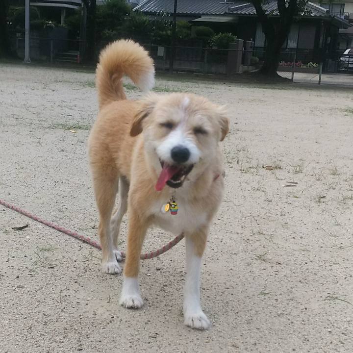 0e405f02 44d8 4785 afc6 8f61d8453a58