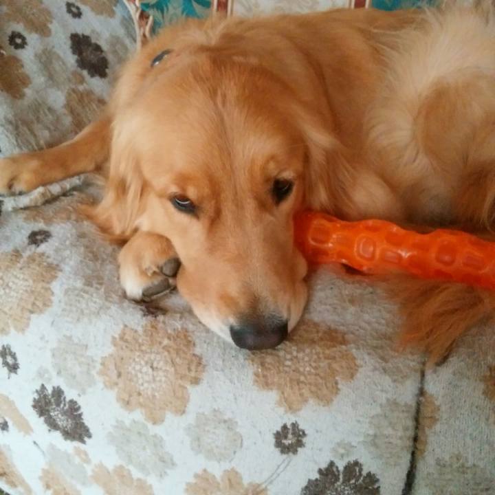 0e41156a 7785 4e42 9bf5 903a0e47bb7e