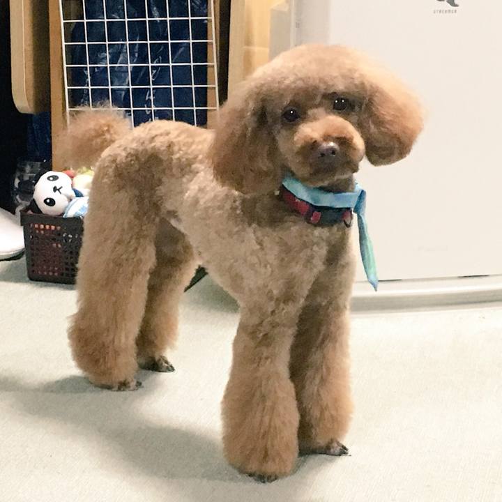 0e414b6e 41a3 4ac0 9e08 5b118bf9c69a