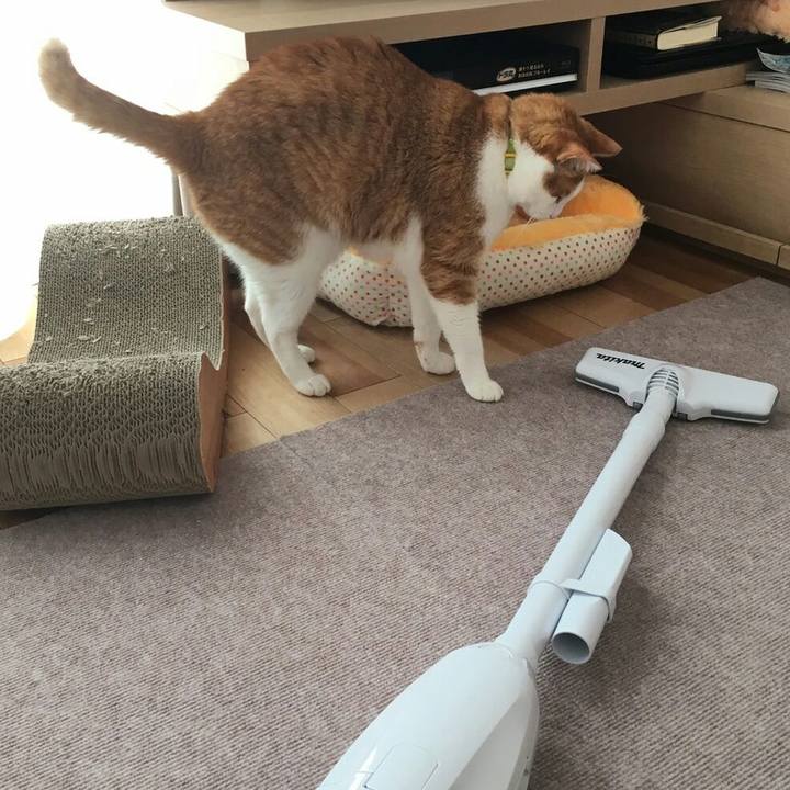 0e417dc8 07d2 4934 a2a0 8c9d9e7744a5