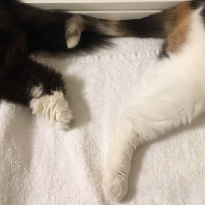 0e42f630 d516 4750 bedc 81a92ca022a7