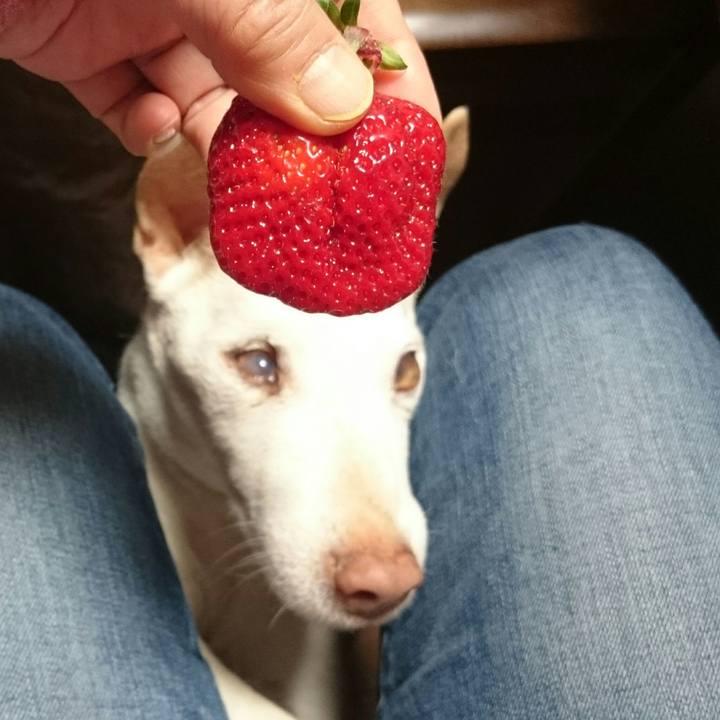 0e438563 ec30 404f 8357 fa82ade00b9f