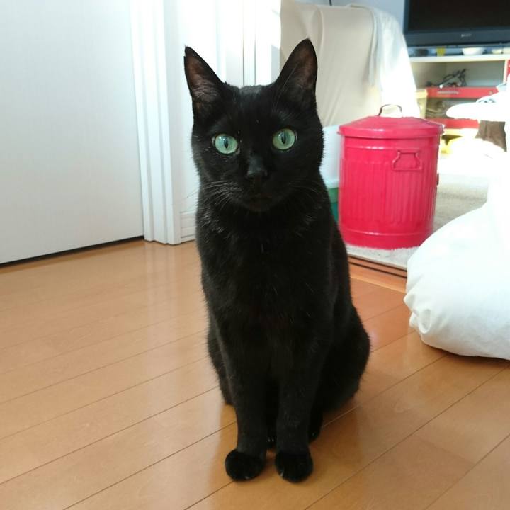 0e438b8a 04f0 42cb 951d e6d43cfc6d52