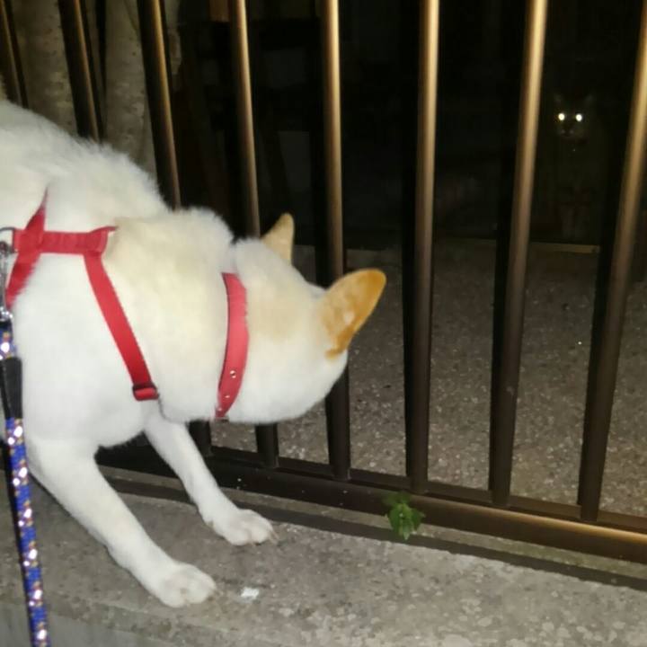 0e43b8b4 3fae 47bc b1fd 8004ecd5344b