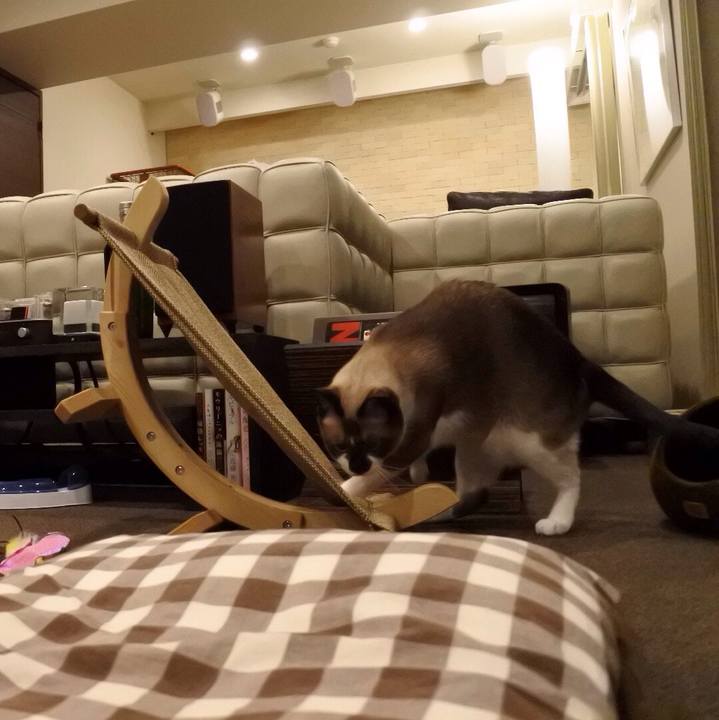 0e4436c1 aae2 4921 a38a 76be49c8d41e