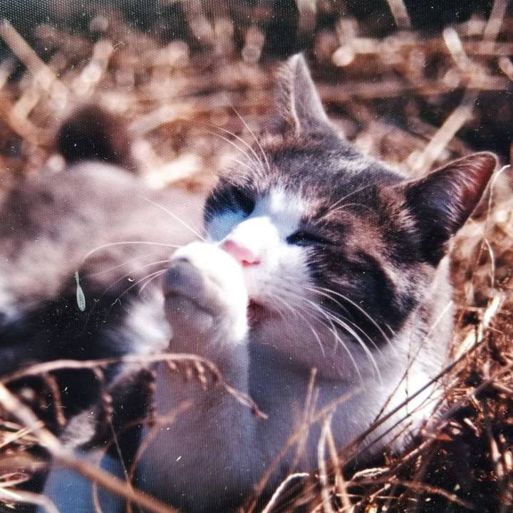 0e461479 e624 4e84 ac19 8bcda58d89c0