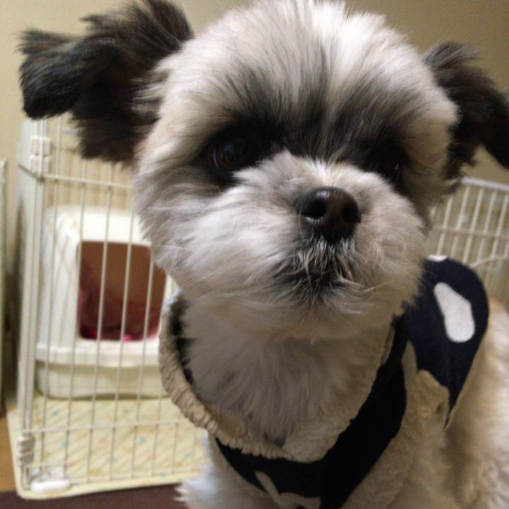 0e463f4f 77c1 4dce b002 e4678bfc9990