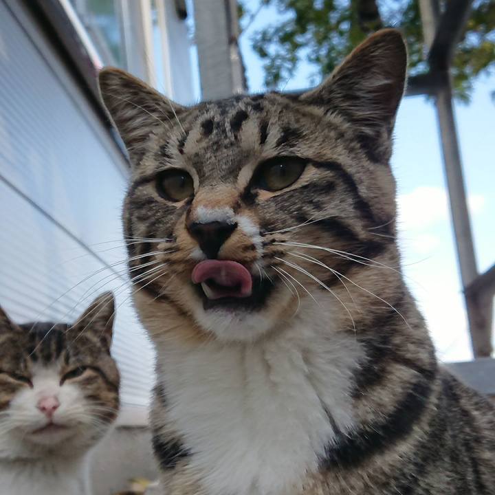 0e46f4bd 04c9 4d44 81f3 5a607354f564