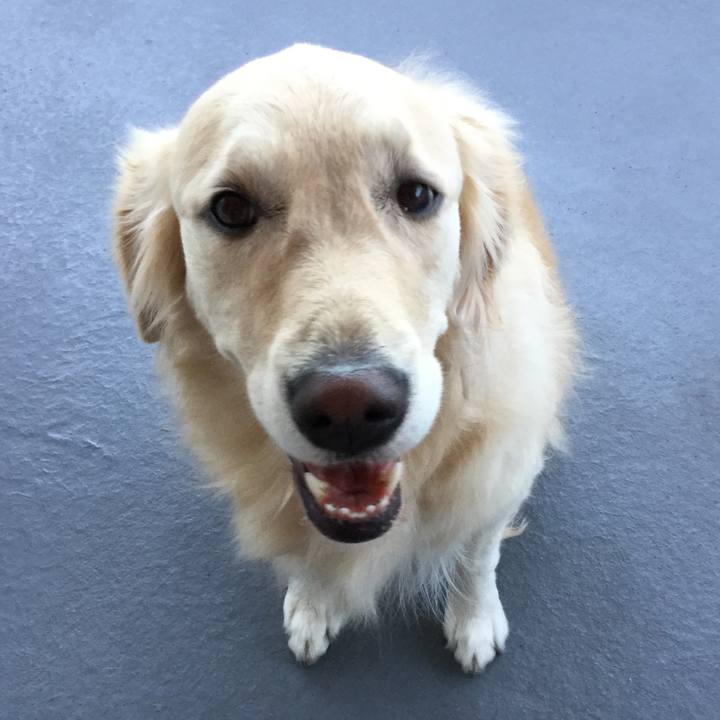 0e473b54 e036 4835 acc0 38fd62a5cc30