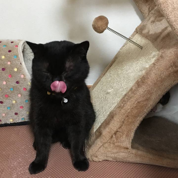 0e479ca5 5078 423a ba1c a37310049111