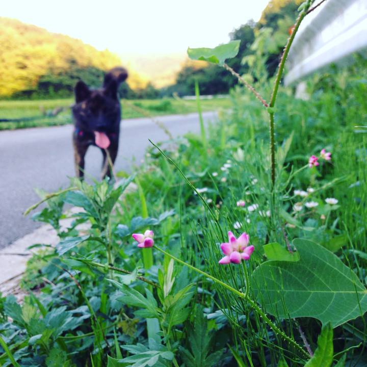 0e47a912 4676 48c7 9828 34c1b55bfa70