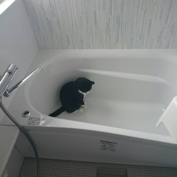 0e47adea 03e3 43c1 9849 a509d4557c8d