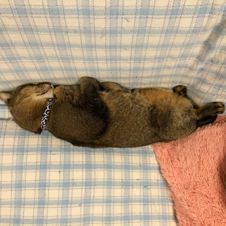 0e47e567 15a4 4ecd 876f 33579ba4827b