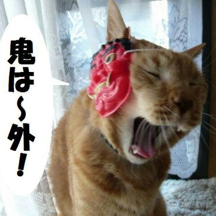 0e483721 01da 4336 9eb3 5b22fa71c3fa