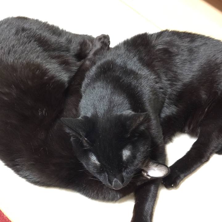 0e48b9be 4658 439d ab46 0fbc37a11107