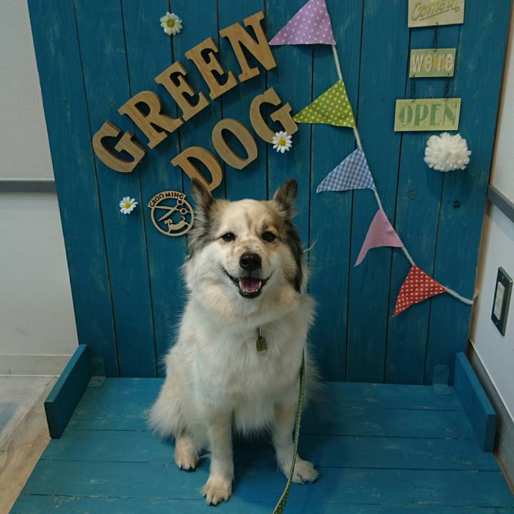 0e49ab8c 78f8 4c17 a76b 0e6041b82622