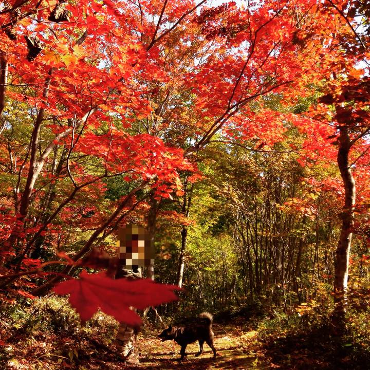 0e4a584d 54f5 4d84 8124 4fa56b03804a