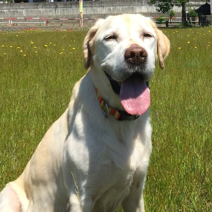 0e4a67de 1fda 4e8a 9be9 8bd7680eda0f