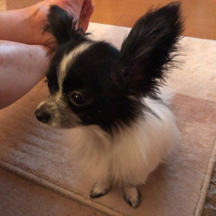 0e4a8c77 f088 4c07 a0a7 99c89b0a9cd6