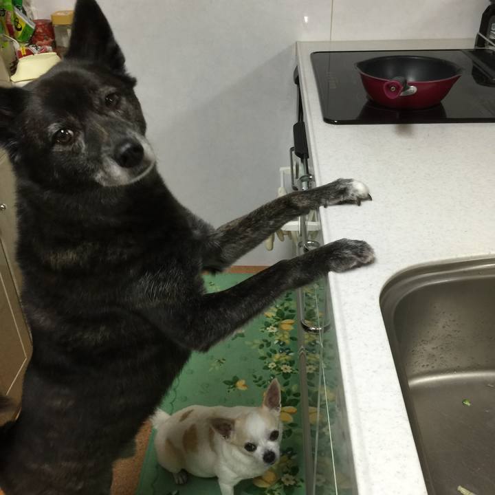 0e4aae63 2936 4180 8f5a ca1d8c1df2a9