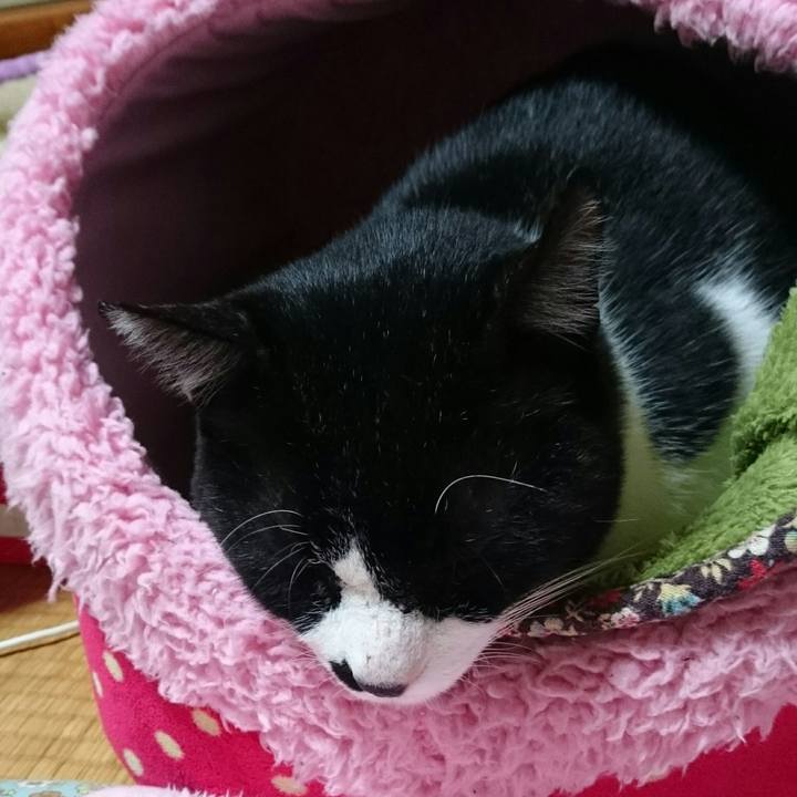 0e4ad2b7 ce3d 4983 a034 e6a61c5d3446