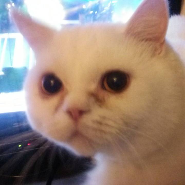 0e4b6e0f 5d0c 452b a3c7 d230264401ef