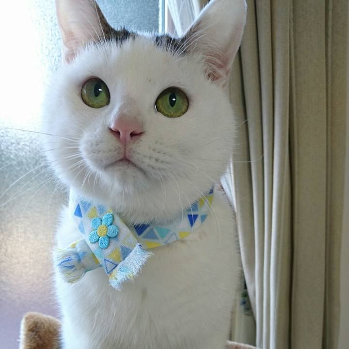 0e4b8887 3595 401b add8 1f388b491ffa