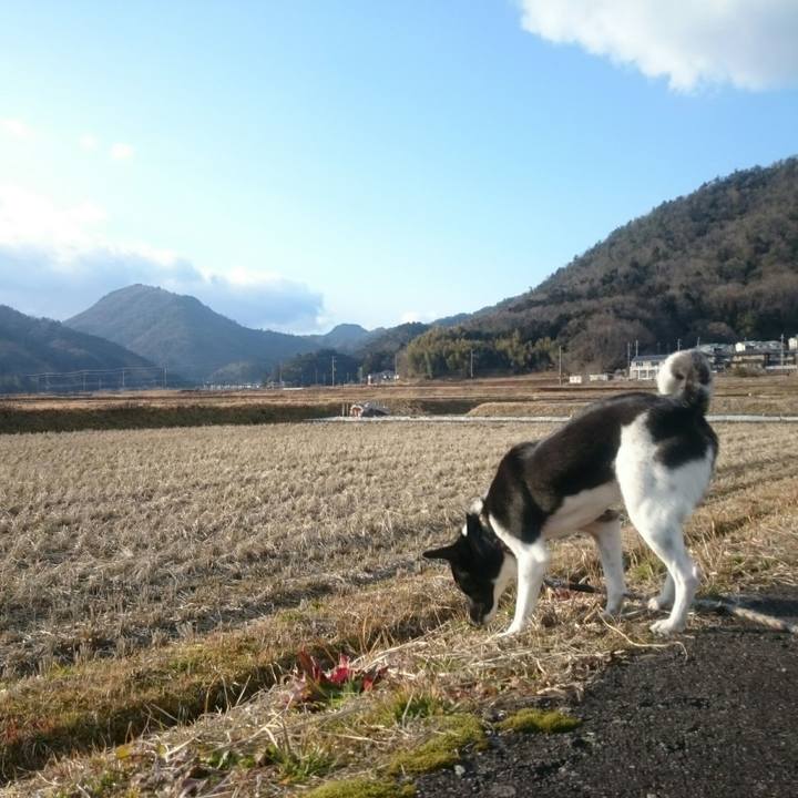 0e4be331 ae96 48c4 b32e 6270de24aa1e