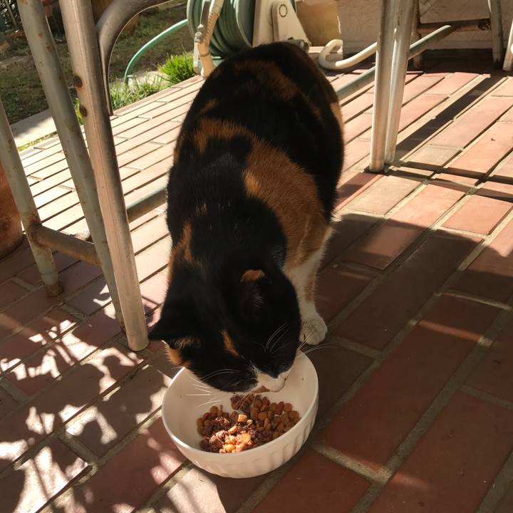 0e4c0797 fe67 402a 8e7d fec7ab2f8be3