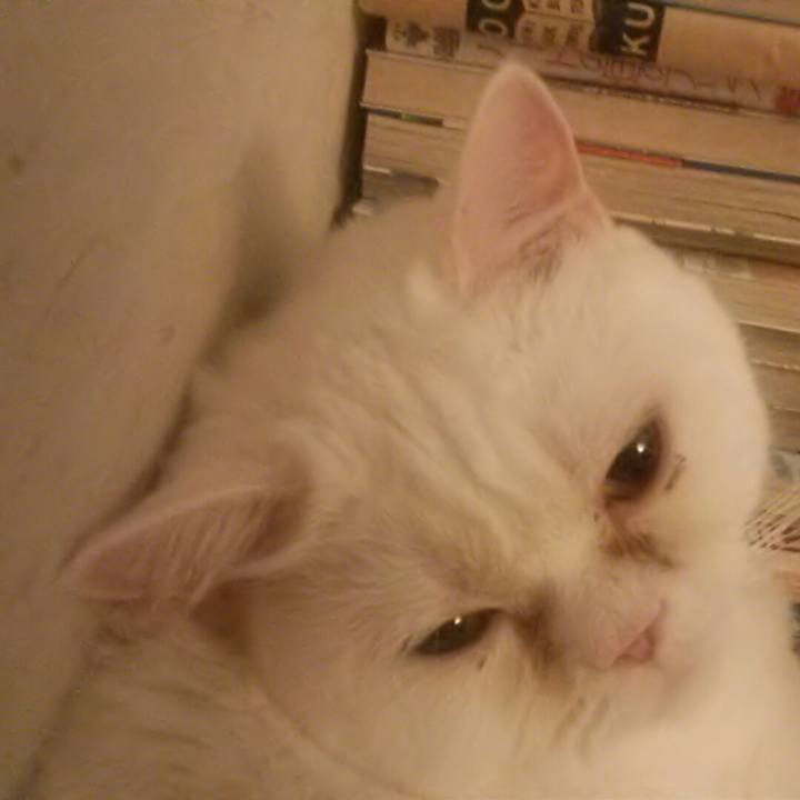 0e4c40ec 963b 4985 a9b0 75e2661e4ced