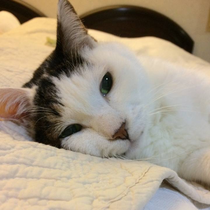 0e4c5b7a 0f7f 44e1 b7ac 352cdf9372f7