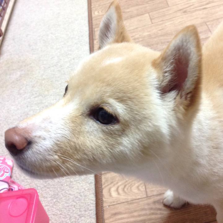 0e4c73c8 aa9b 49b3 8a74 8efe65c6b2a3