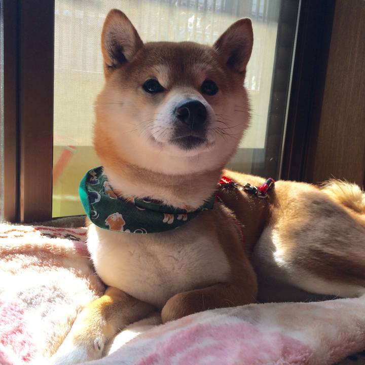 0e4c8473 f45c 4915 8c13 c40df12a0b26