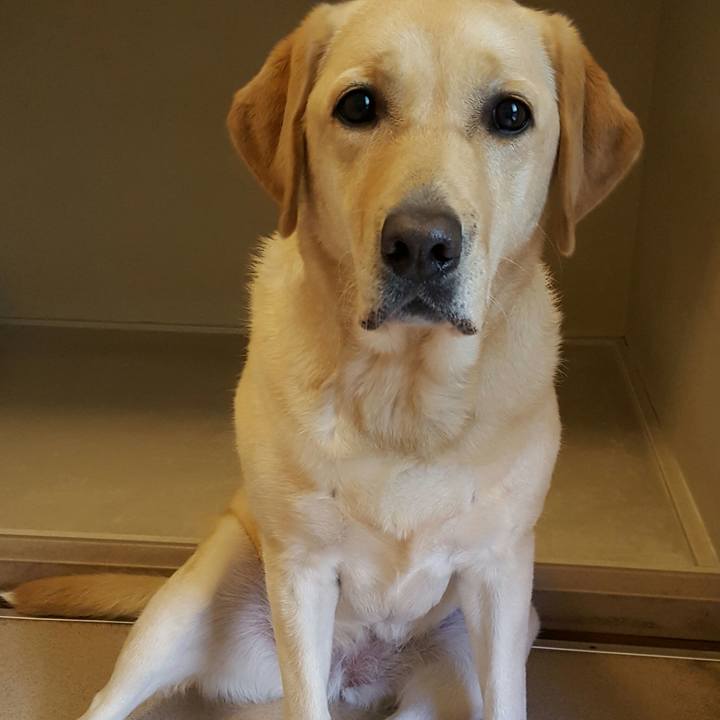 0e4c863d 1194 46d1 868e dfbb2202de7d