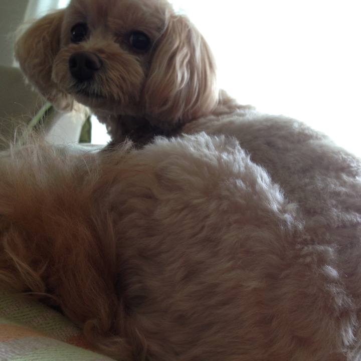 0e4cd3b1 3974 4aef 961a 858d4c973873