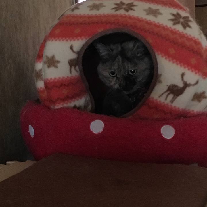 0e4d47d1 f90b 4ca8 9d43 8d092eea17d8