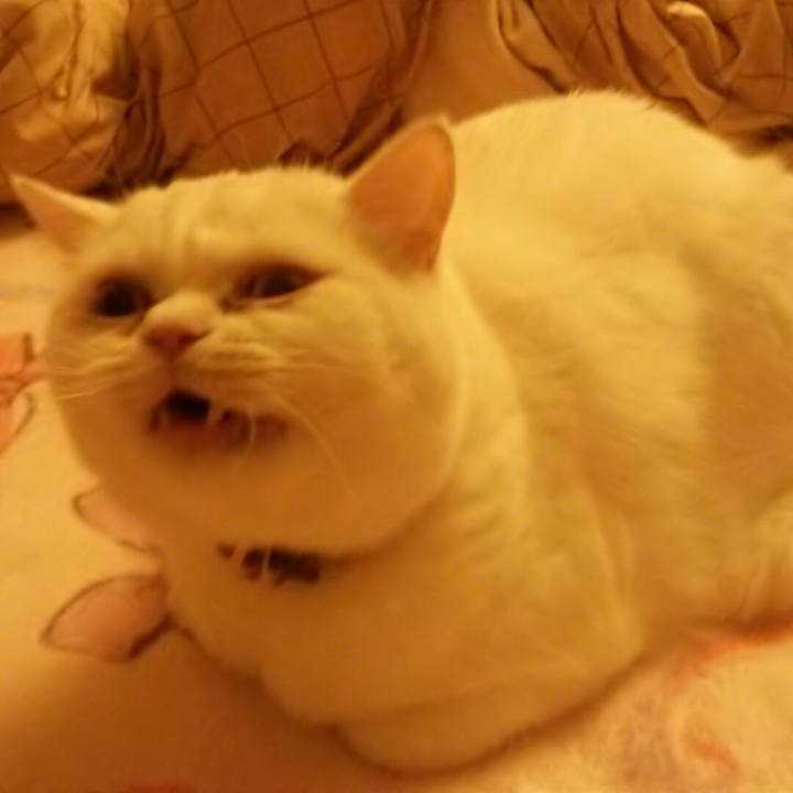 0e4e624a 5a54 46c7 a95f bb2a75ad1460