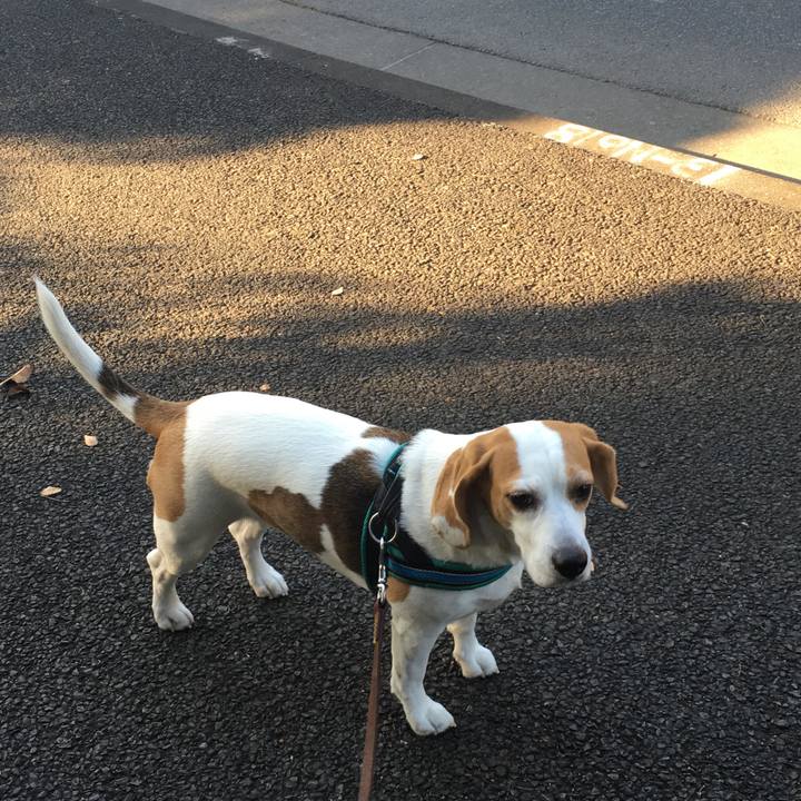 0e4edc00 cb2a 4c26 a70d d96dff55fd41