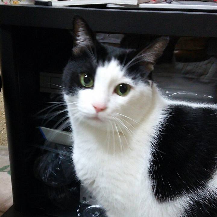 0e4f9a83 9fdc 4e08 8aa2 1547ac9f65c6