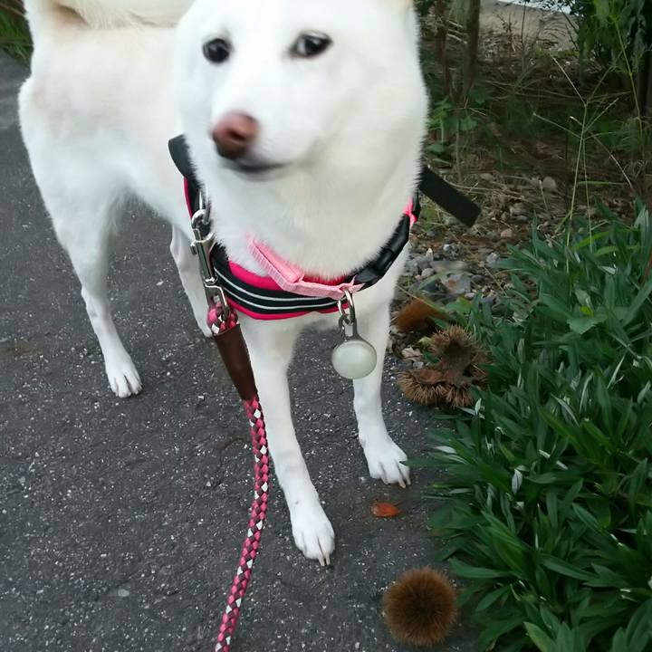 0e504d21 7f4e 4f6d b17e 66848e6512a8