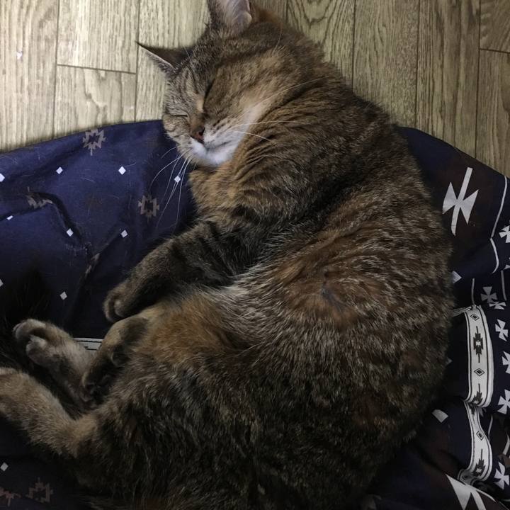 0e5067f6 0d3b 451c 93c8 1d8aa6da09ad