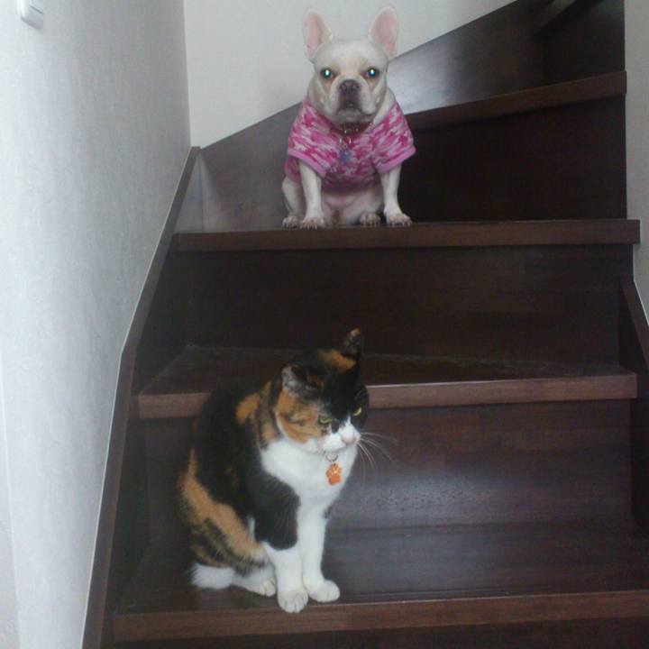 0e50a8f9 2c53 4779 aaa2 8e251835be4b