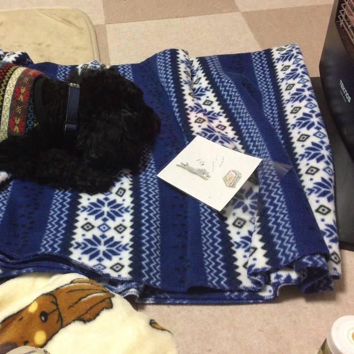 0e51134c 8faf 4d3d a6bf 93fecd628ed7