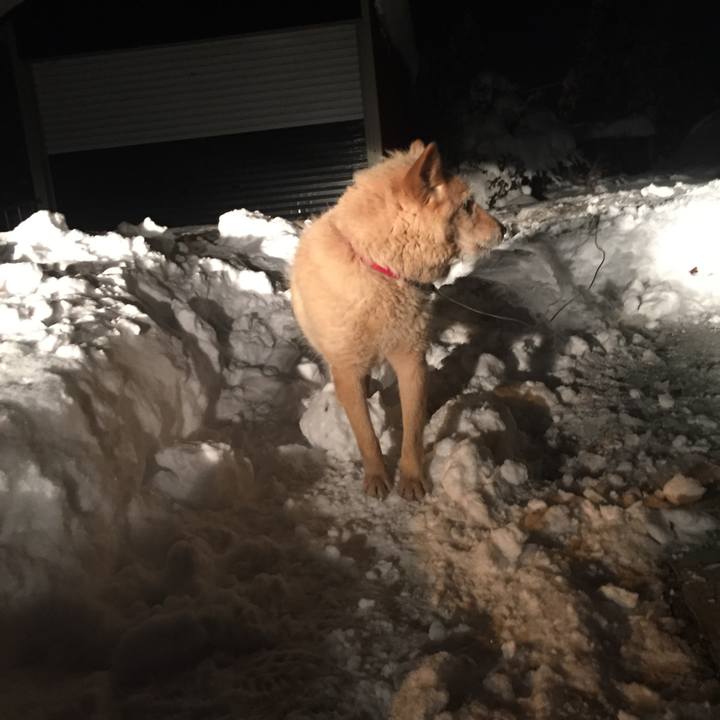 0e511887 4c61 4c66 9ae2 da75d55a1f2c